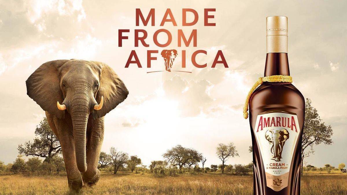 Afrika-Exotik soll die afrikanische Likörmarke Amarula bei jungen Zielgruppen bekannter machen