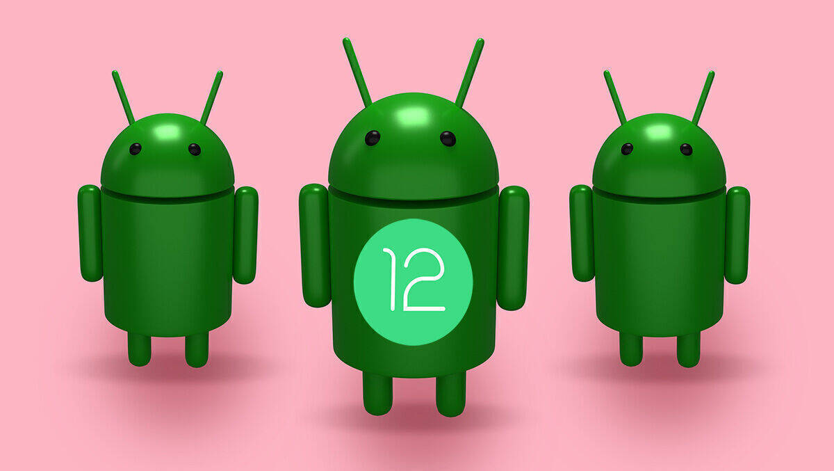 Googles Mobil-Software Android macht das Dutzend voll. 