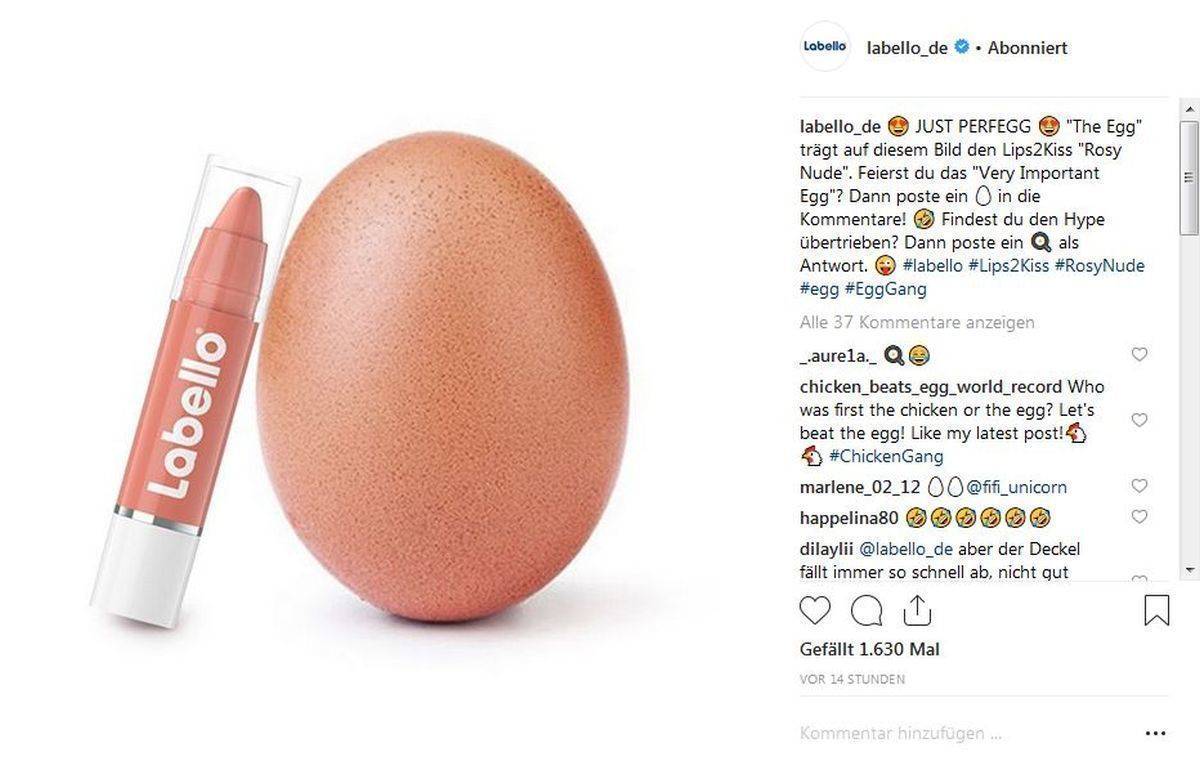 World Record Egg: Jetzt beginnt die Werbekarriere.